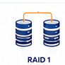 RAID 1
